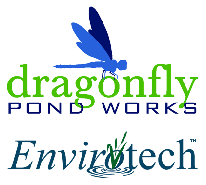 Dragonfly Pond Works